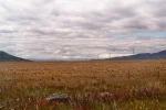 Wolken kriechen.webp