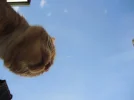 DSCN2101.webp