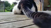 20160704_172153[1].webp