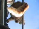 DSCN2098.webp