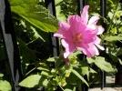 DSCN1667 (2).webp