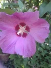 20160718_173453.webp