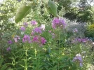 20160718_173349.webp