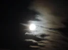 DSCN2201.webp