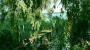 2016-07-20_20.12.51[1].webp