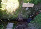 DSCN2205.webp