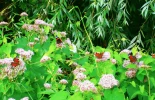 P7240022 (3).webp
