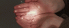 11413086_1642926979253615_1564915049_n.gif