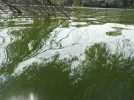 DSCN1707.webp