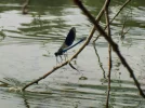 DSCN1719 (2).webp