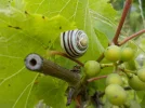 DSCN1724.webp