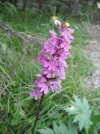 DSCF8561.webp