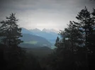 DSCF8558 (2).webp