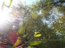 DSCN1737.webp