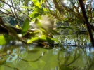 DSCN1745.webp