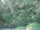DSCF8542.webp