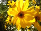 Sonstiges 403.webp