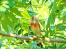 DSCF8154 (3).webp