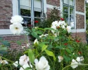 2016-08-07 11.50.58.webp