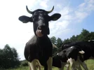DSCN2277.webp