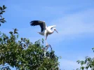 20160807_10.webp