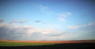 DSCF7855.webp