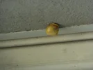 P1010584.webp