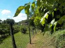 DSCN1789.webp