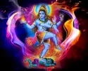 images.webp