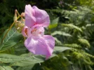 DSCN1831.webp