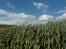 DSCN1823.webp