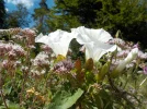DSCN1840.webp