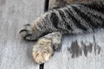 K800_DSC_0130.webp