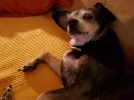 20160819_234013[1].webp