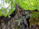 20160823_173621[1].webp