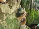 20160823_183848[1].webp