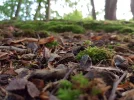 20160823_172818[1].webp