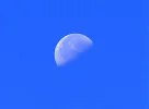 DSC_0263.webp