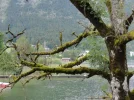 DSC00707.webp