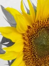 20160823_151434.webp