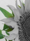 20160823_151507.webp