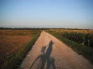 DSCF8732.webp