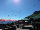 20160824_151150.webp