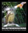 eule.webp
