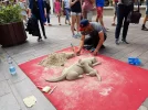 20160827_122523[1].webp
