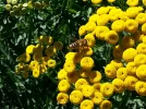 20160827_130846.webp