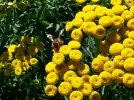20160827_130829.webp