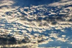 K800_DSC_0421.webp