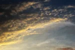 K800_DSC_0428.webp