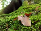 20160823_173329.webp